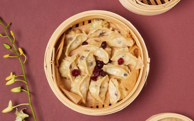 Dumplings à la dinde
